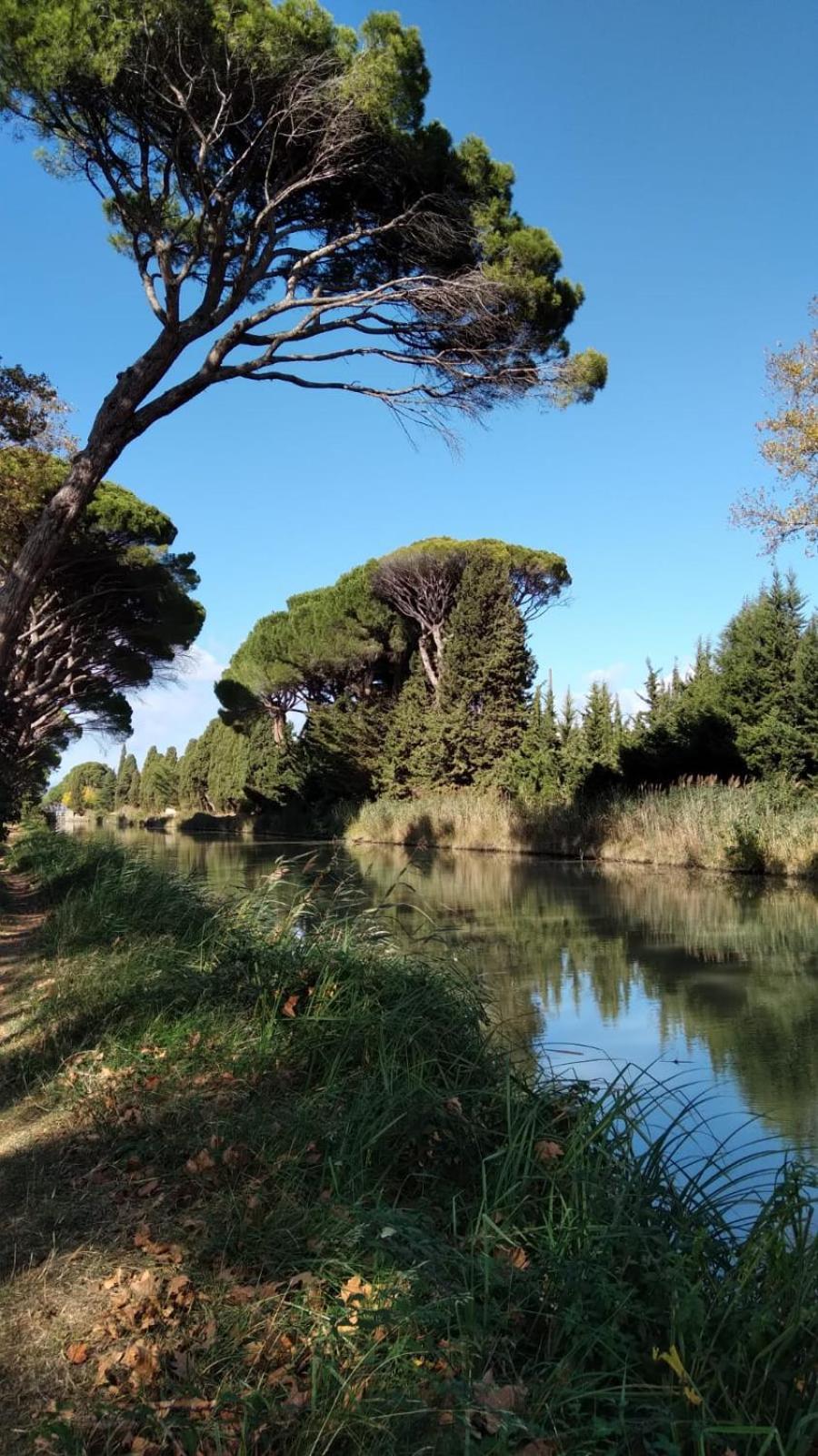 La Promesse De L Aude Διαμέρισμα Sallèles-dʼAude Εξωτερικό φωτογραφία